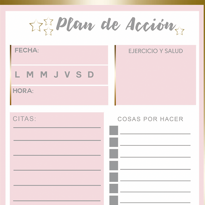 Planificador Plan de Accion